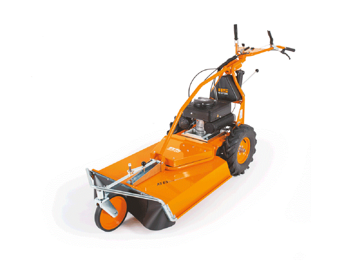 ASMotor Hochgrasmäher AS 65 2T ES in Bickendorf bei Gafotec Garten und